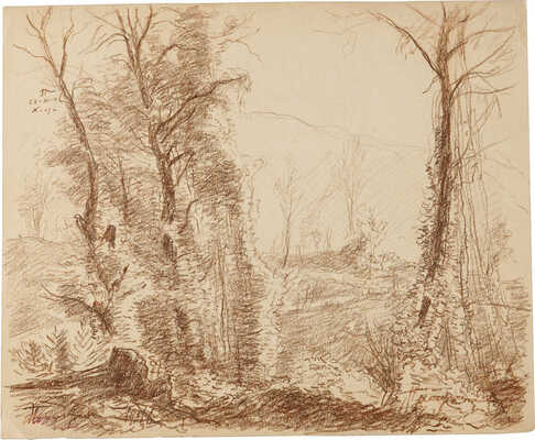 Плещинский Илларион Николаевич. Хоста